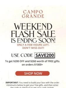 Weekend Flash Sale ends in a few hours!