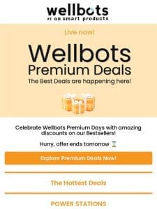 Wellbots Unbeatable Premium Deals ?