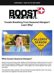 ? What Causes Seasonal Allergies – And How Can You Manage Them?