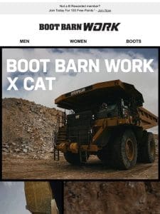 Win Cat gear & a $100 gift card