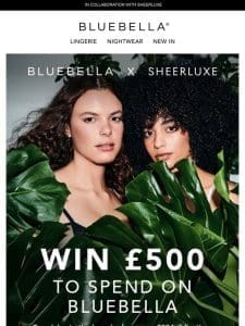 Win ￡500 to spend on Bluebella lingerie ?