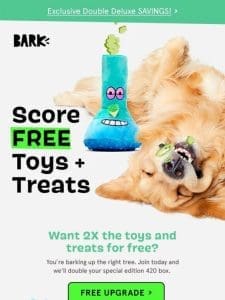 YOUR DOG’S FREE UPGRADE: 4 totally lit toys + 4 bags of dank treats