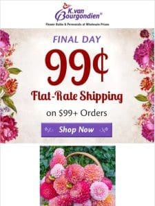 ? Your $99 order ships for 99￠