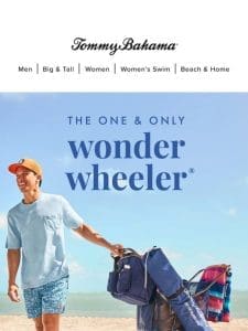 Your Beach BFF? THE Wonder Wheeler®