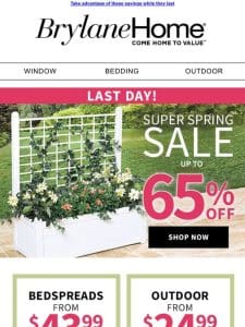 ? Your Spring Savings Awaits ?