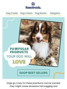 Your dog will love these pawducts!