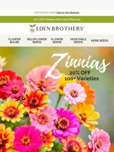 Zinnias   20% OFF