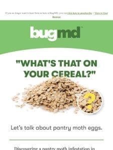 pantry moth infestation?