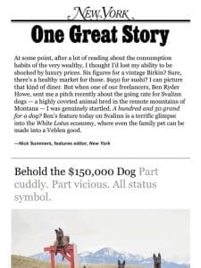 ‘Behold the $150，000 Dog，’ by Ben Ryder Howe