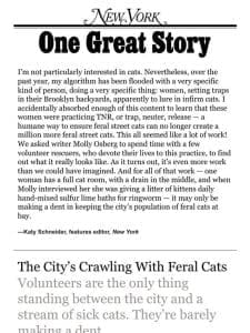 ‘Can Anything Fix New York’s Feral Cat Problem?’ by Molly Osberg