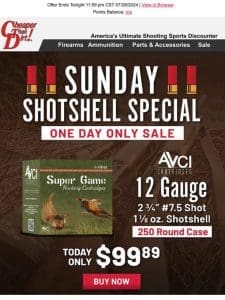 12 Gauge Shotshell Special – 250 Rounds Only $99.89