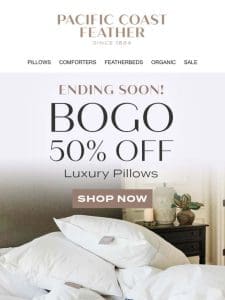 2 Days Remain! Pillows Are BOGO 50% OFF