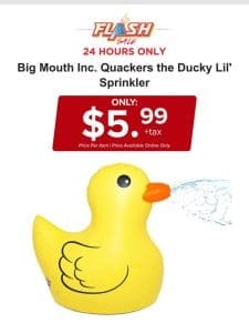 24 HOURS ONLY | BIG MOUTH SPRINKLER | FLASH SALE