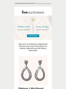 Activity Auctions | Hidden Gems | Array of Ages