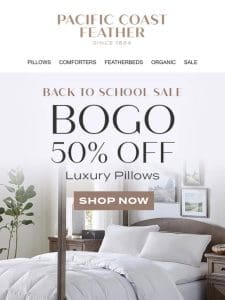 Back to School Pillows Are BOGO 50% OFF