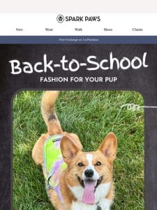 Bark to School Fashion