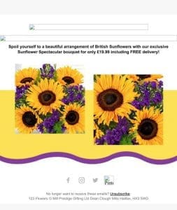 Beautiful British Sunflowers for £19.99