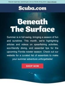 Beneath the Surface: Spearfishing Essentials Await!