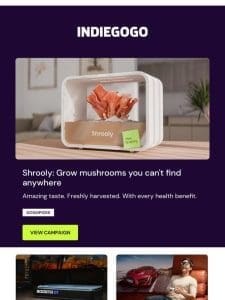 Boost your well-being with this smart mushroom grower