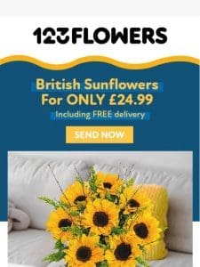 British Sunflowers For £24.99!