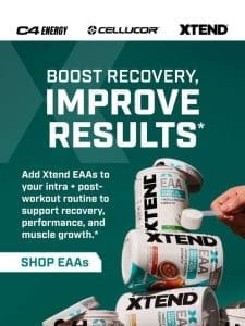 Build Muscle and Support Recovery