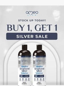 Buy 1， Get 1 Silver Sale