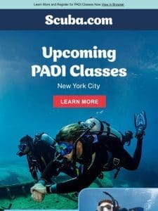 Discover Our NYC PADI Classes! ?