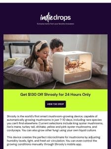 Flash deal on Shrooly: Get $130 Off for 24 Hours Only