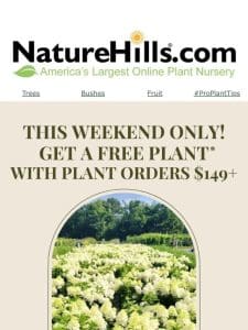 Get a Free Plant On Orders $149+