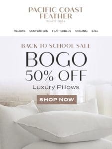 Go Back to School & Campus With New Pillows