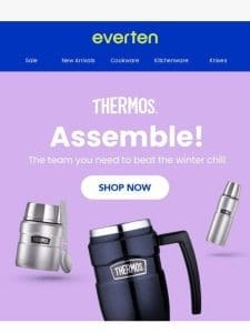 ?HOT TO GO: Thermos insulated food and drink storage