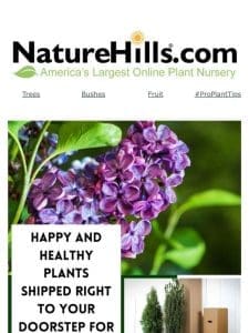 Happy and healthy plants shipped right to your doorstep FOR FREE! ??