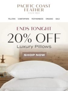 ? Hours Left to Shop 20% OFF Pillows!