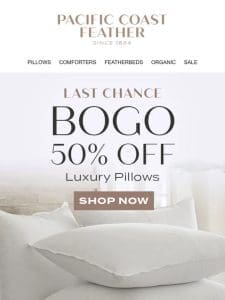 Hurry! Hours Left to Shop Pillows BOGO 50% OFF