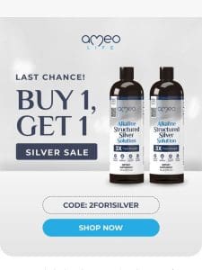 LAST CHANCE- Buy 1 get 1 Silver!