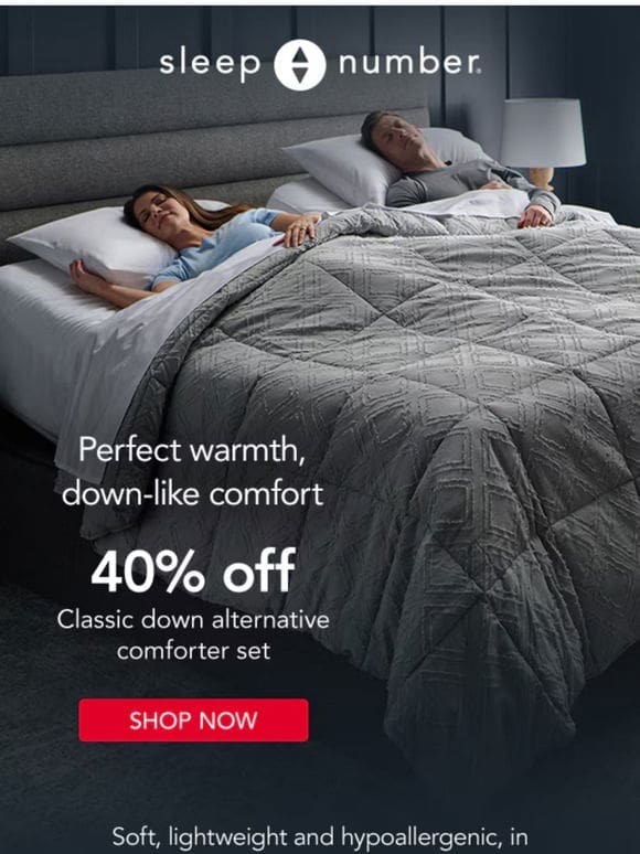 Limited Time: 40% Off Down Alternative Comforter Sets