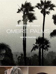 Ombre Palms