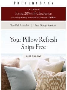 SHIP IT FREE: New pillows