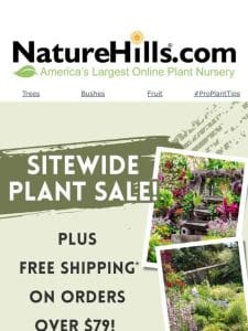 Sitewide Plant Sale! + Free Shipping On Orders Over $79!