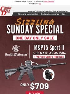 Sizzling Smith & Wesson AR15 with Vortex Red Dot Deal