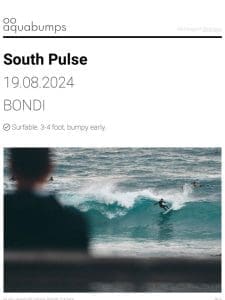 : : South Pulse