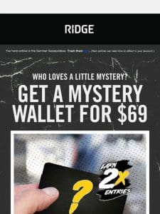 Sweeps Special: Mystery Wallet for $69