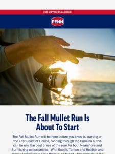 The Fall Mullet Run Is About To Start!