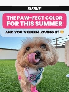 The Paw-fect color for this summer ??