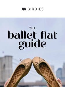 Your 101 to our ballet flats