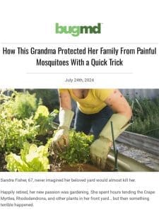 2-Minute Tip for a Mosquito-Free Yard