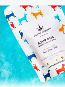 ?? 20% Off Sour Dog – Your New Faithful Companion