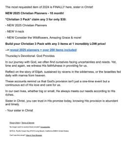 ?? 2025 Christian Planners – brand new!