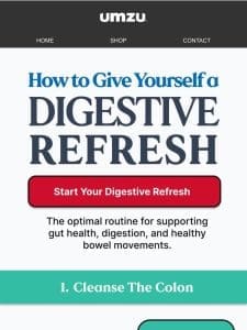 3 Steps to Refresh Your Digestive System