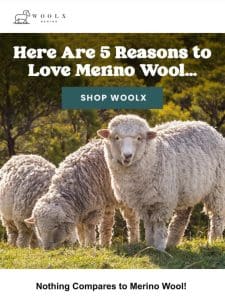 ?? 5 Reasons to Love Merino Wool